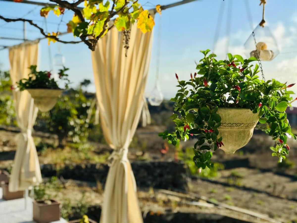 Loft Los Laureles 埃尔帕索 外观 照片