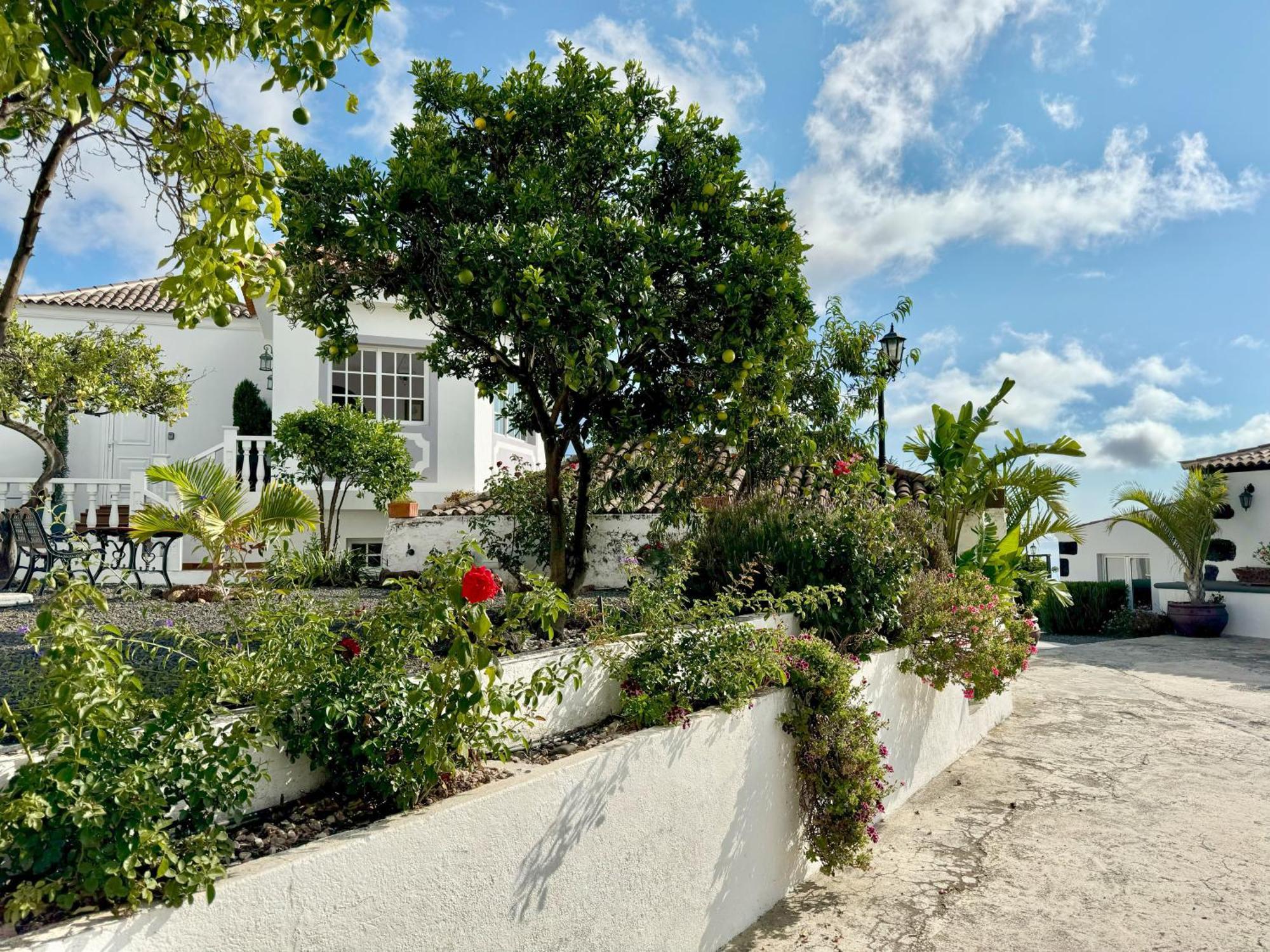 Loft Los Laureles 埃尔帕索 外观 照片